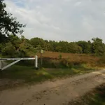 Beautiful With Spacious Garden * Voorthuizen