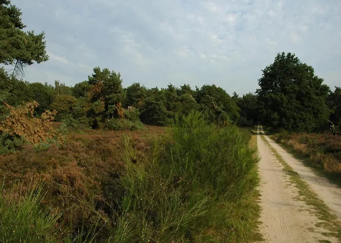 Дом отдыха Beautiful With Spacious Garden Вортхёйзен