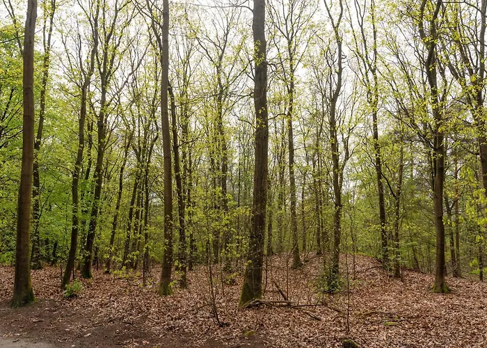 Дом отдыха Beautiful With Spacious Garden *